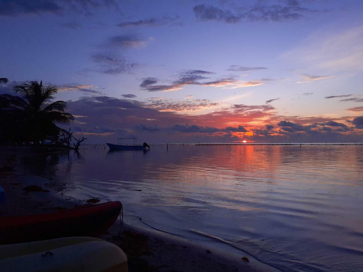 Palmeras De Mahahual Cabanas Dış mekan fotoğraf